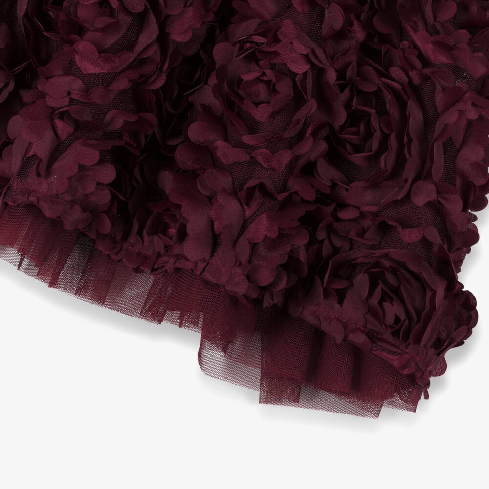 Angel's Face-Baby Girls Burgundy Red Tulle Roses Dress | Childrensalon