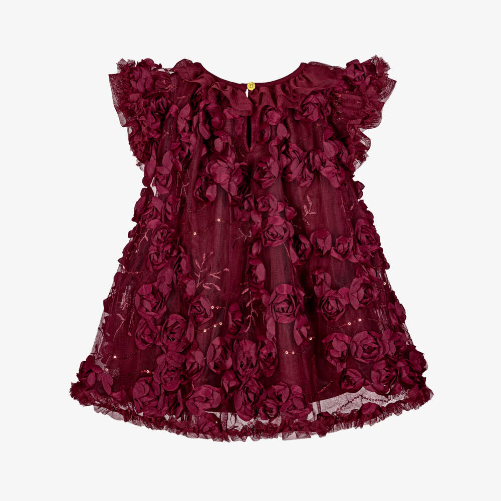 Angel's Face-Baby Girls Burgundy Tulle Ivy Dress with 3D Roses | Childrensalon