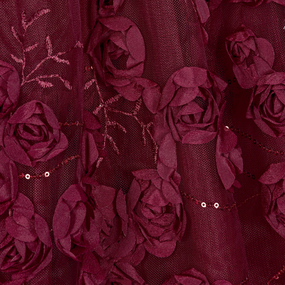 Angel's Face-Baby Girls Burgundy Tulle Ivy Dress with 3D Roses | Childrensalon