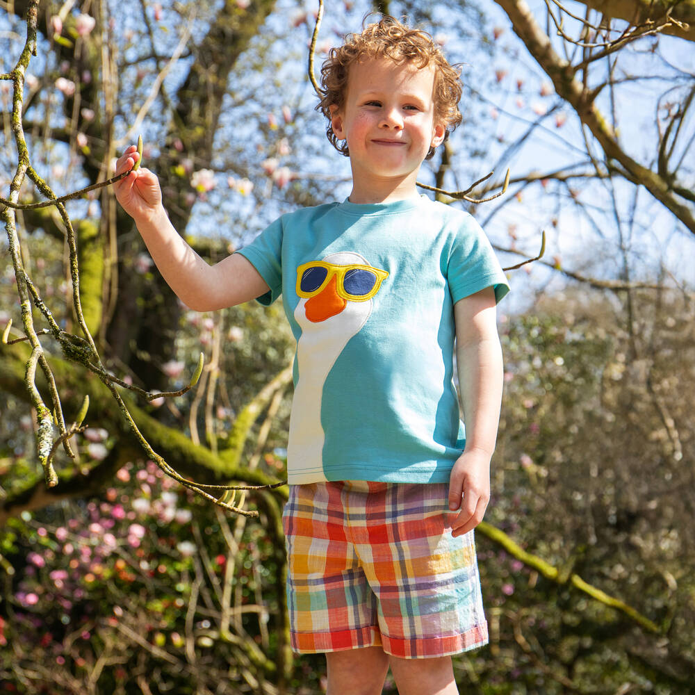 Frugi-Футболка голубая из органического хлопка с гусем для мальчиков | Childrensalon