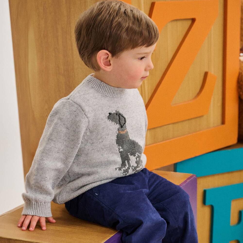 Hatley-بلوفر بتصميم جرو محبوك انتارسيا لون رمادي للأولاد | Childrensalon