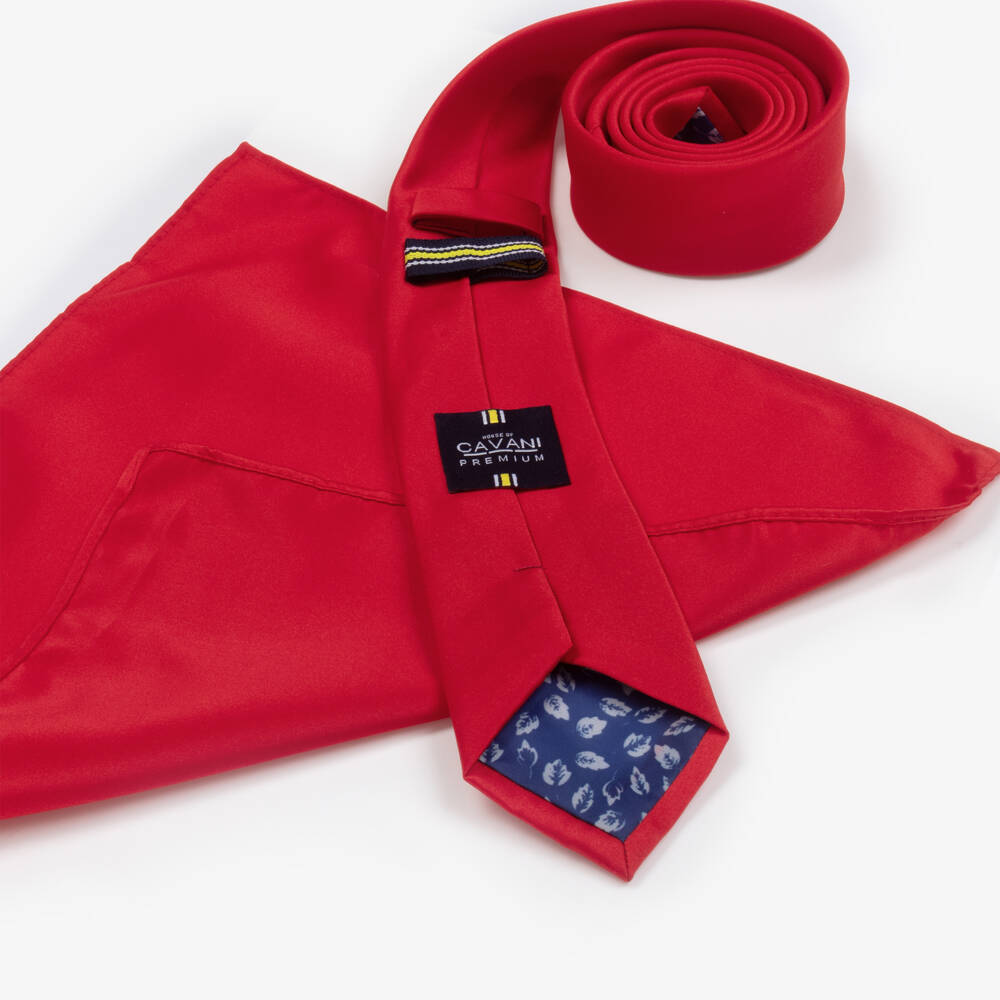 House of Cavani-Boys Red Satin Tie Set | Childrensalon
