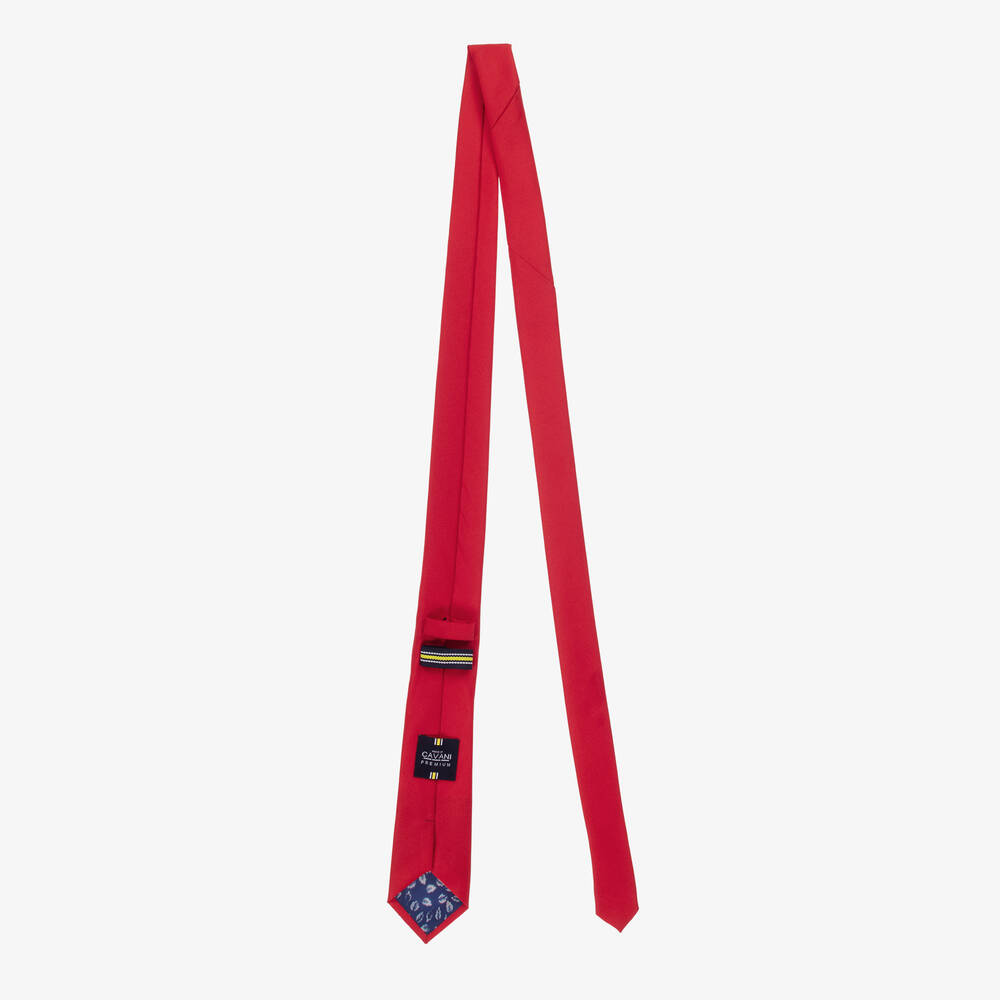 House of Cavani-Boys Red Satin Tie Set | Childrensalon