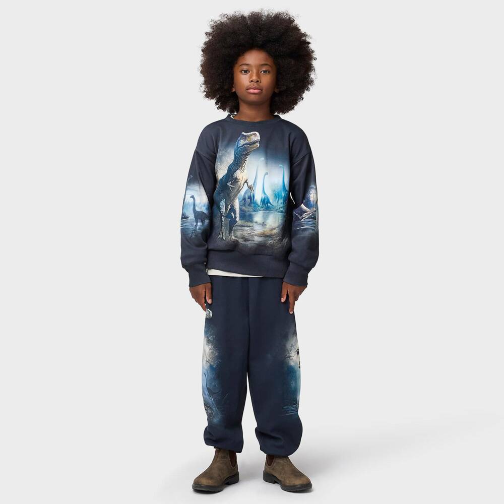 Molo-Boys Blue Organic Cotton Sweatshirt with Dinosaur Prints | Childrensalon