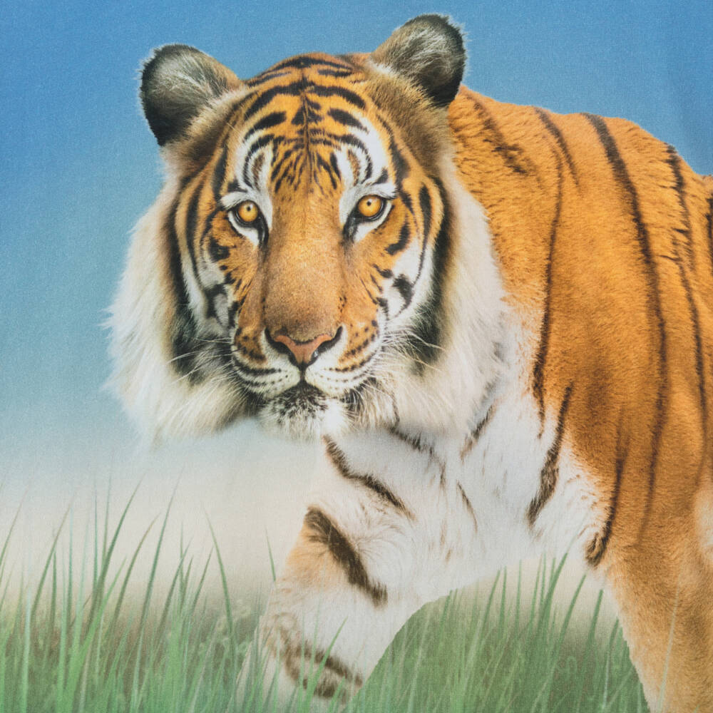 Molo-Boys Blue Tiger Print Organic Cotton T-Shirt | Childrensalon