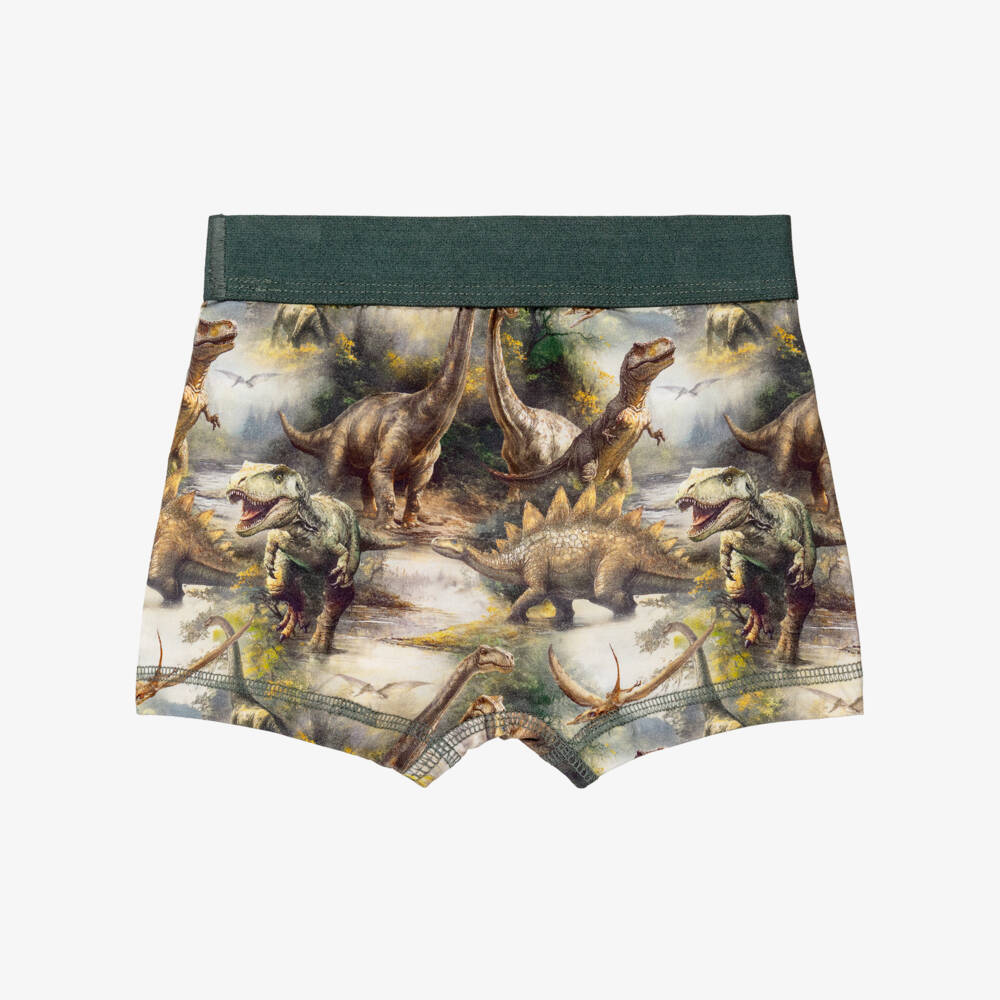 Molo-Boys Green Cotton Boxers with Dinosaur Print (2 Pack) | Childrensalon