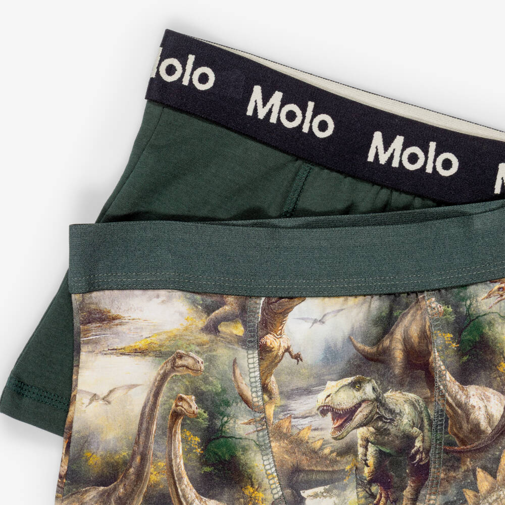 Molo-Boys Green Cotton Boxers with Dinosaur Print (2 Pack) | Childrensalon