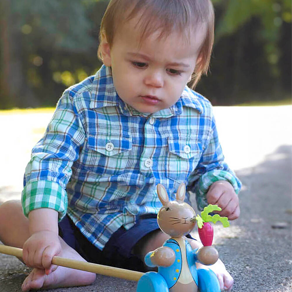 Orange Tree Toys-Peter Rabbit Push Along Toy (15cm) | Childrensalon