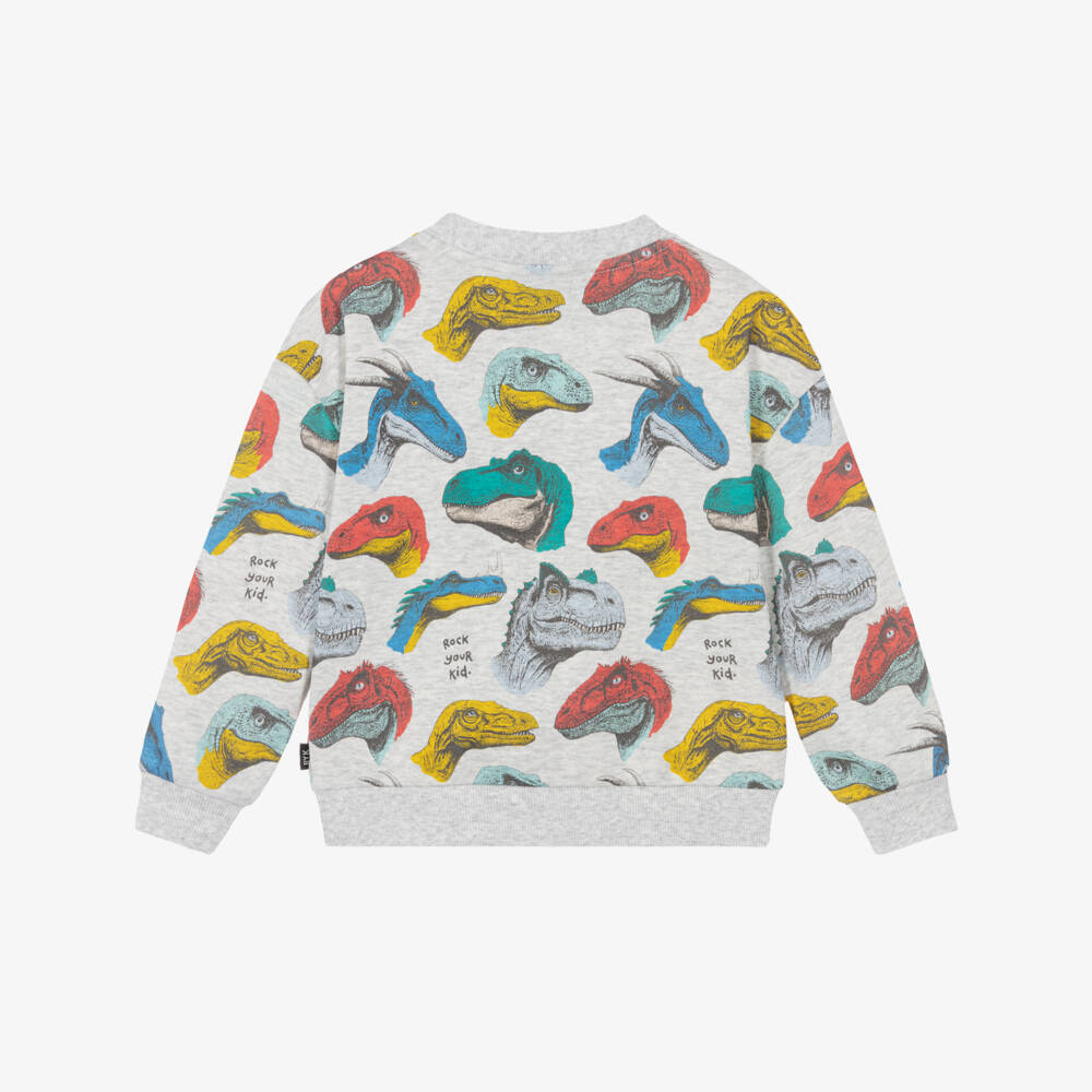Rock Your Baby-Boys Soft Grey Cotton Sweatshirt with Dinosaur Print | Childrensalon