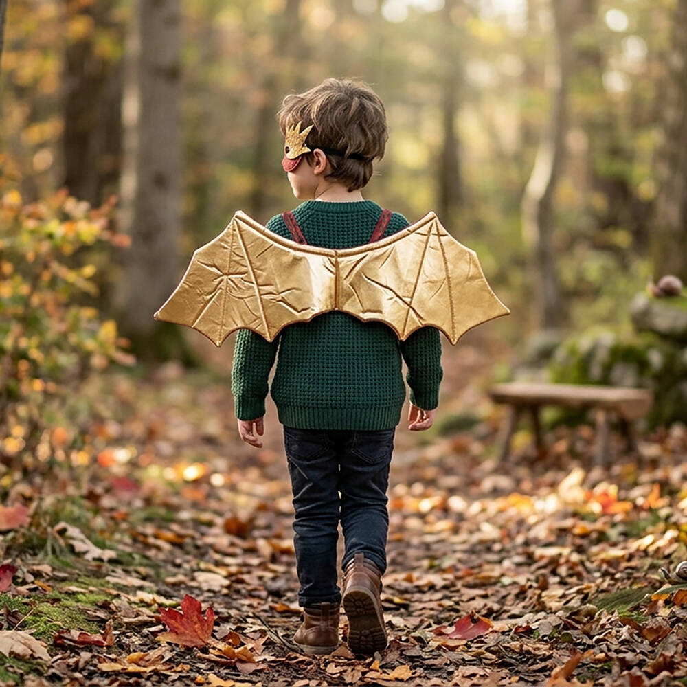 Souza-Boys Red & Gold Dragon Wing & Mask Costume | Childrensalon