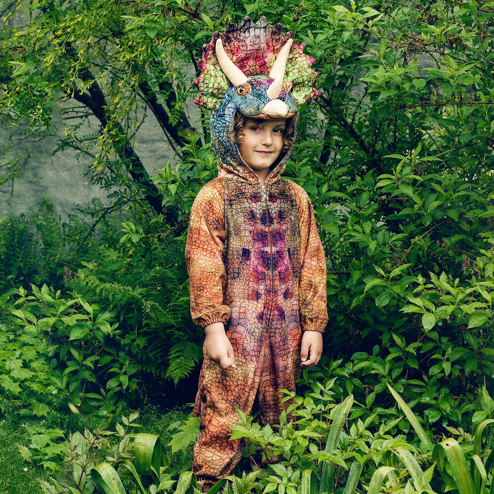 Souza-Green & Brown Dinosaur Costume | Childrensalon