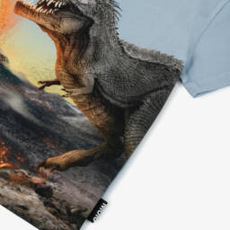Molo-Boys Blue Organic Cotton Dino Graphic T-Shirt | Childrensalon