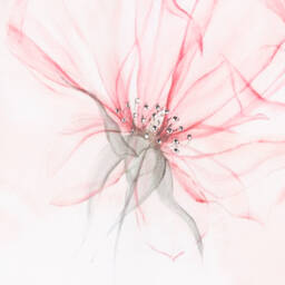 Sofija-أفرول بيبي غرو قطن مضلع لون زهري للمولودات | Childrensalon